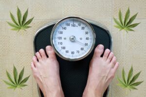 Ask Dr. Leigh: How does cannabis affect my weight?